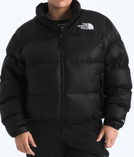 The north face women plus - north,